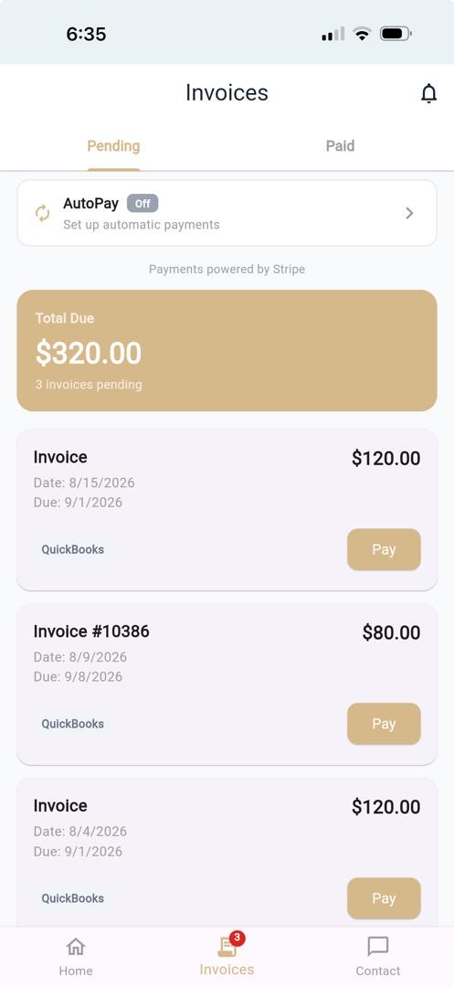 Customer portal invoices with online payment